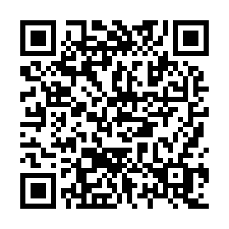 QR code for H2893F