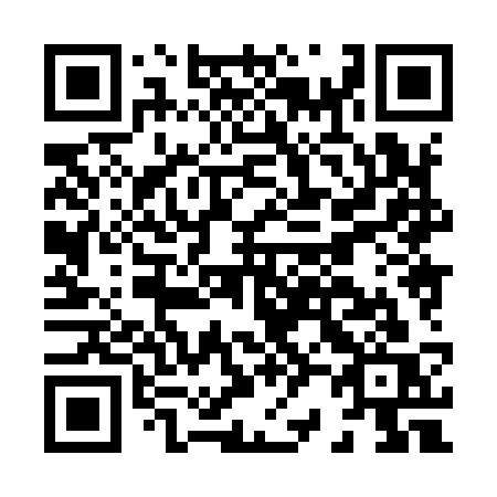 QR code for H2893S