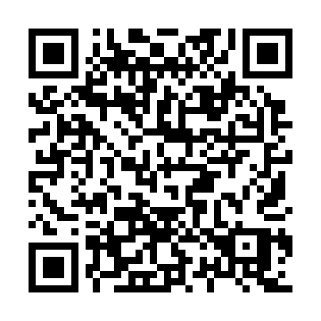QR code for H29-31Q