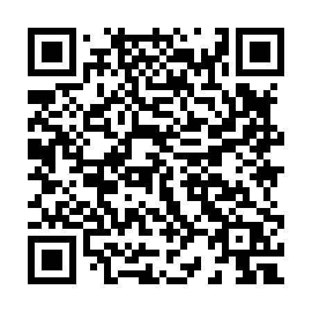 QR code for H29-80P