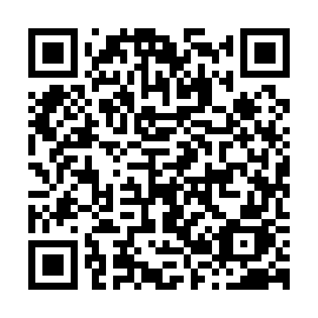 QR code for H2917J