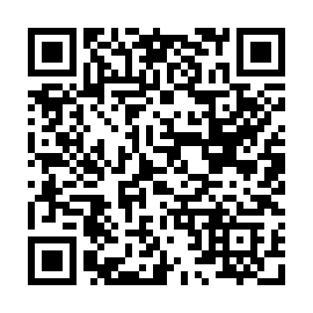 QR code for plate H29-38C