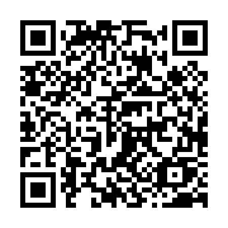 QR code for H3007U