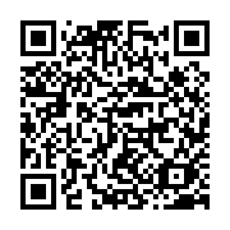 QR code for plate H36-11K