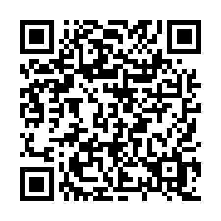 QR code for H38-51L