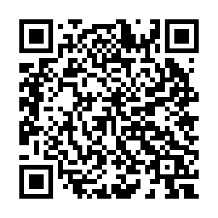 QR code for H4520S
