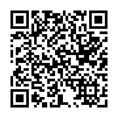 QR code for H46-41N