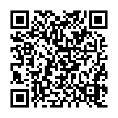 QR code for H46-87Z