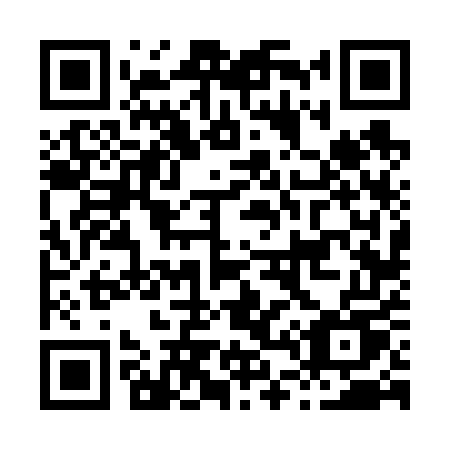 QR code for plate H46-65U