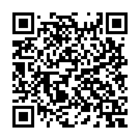 QR code for H5013S