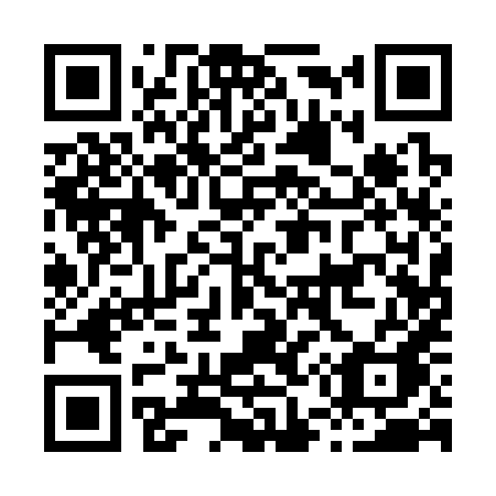 QR code for H51-38A