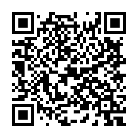 QR code for H51-87N