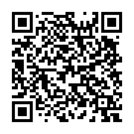 QR code for H52-41P