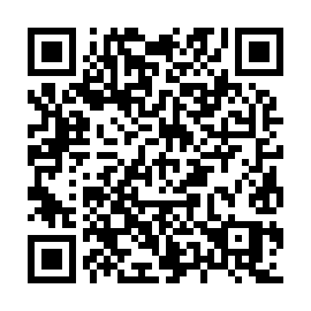 QR code for H53-99Q