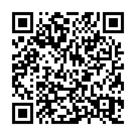 QR code for H5313U