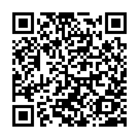 QR code for H5338Z