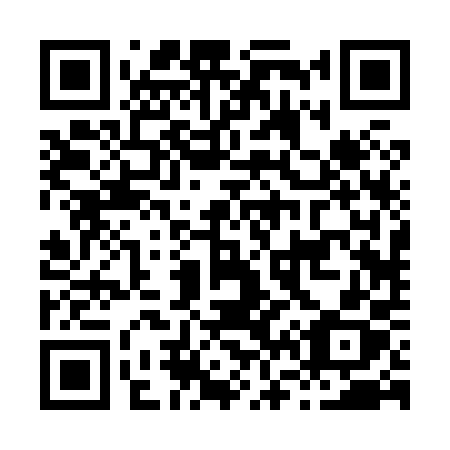 QR code for plate H62-80X