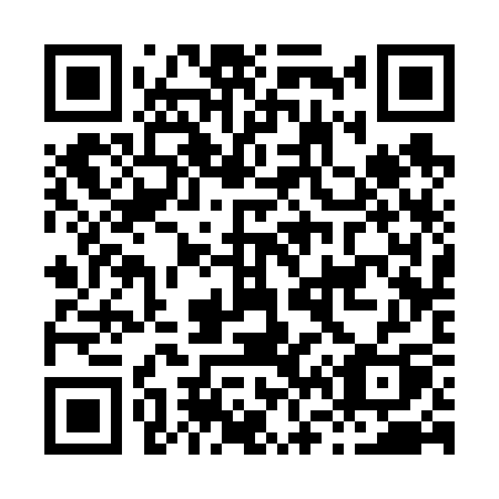 QR code for plate H63-63Q