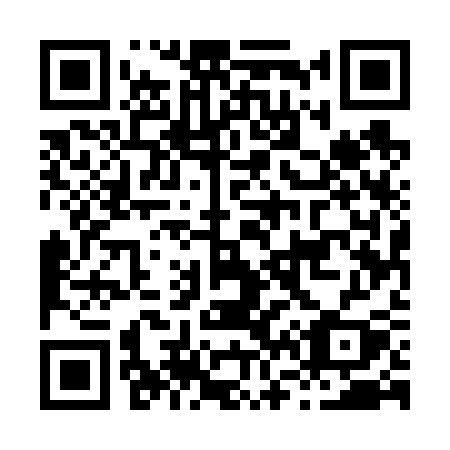 QR code for plate H65-63Y