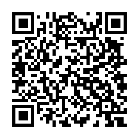 QR code for H66-41G