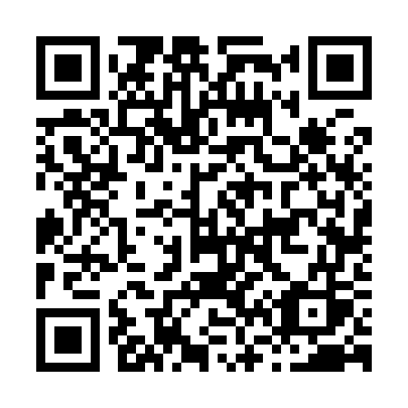QR code for H6697S