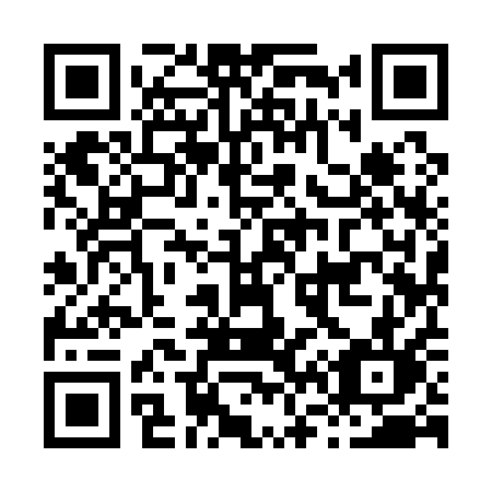 QR code for H6911L