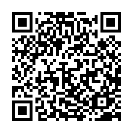 QR code for H80-01W