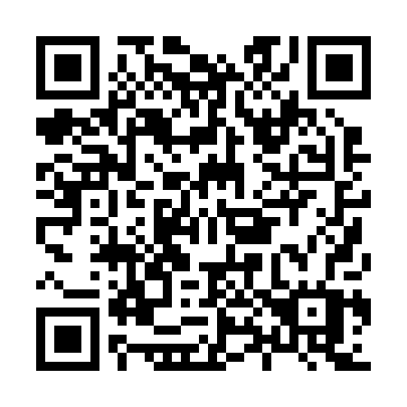 QR code for H80-20W