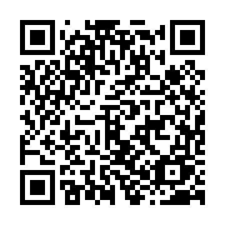QR code for plate H81-06U