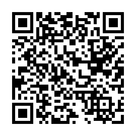 QR code for H8411Q