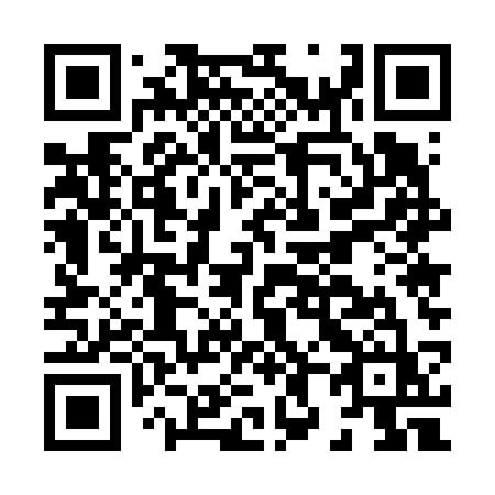 QR code for plate H85-63Z