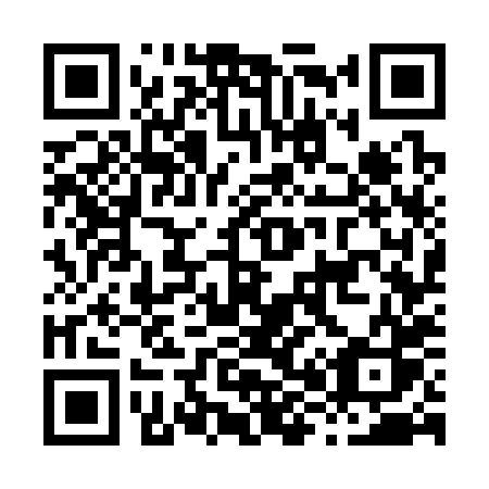 QR code for plate H87-38S