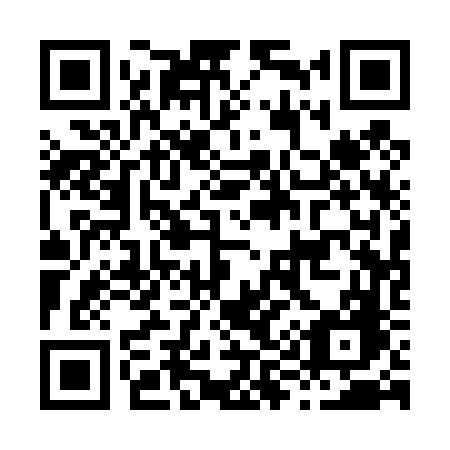 QR code for H91-46G