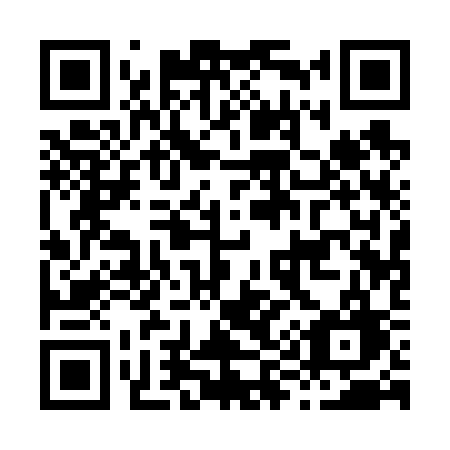 QR code for H91-63G