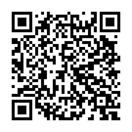 QR code for H9106T