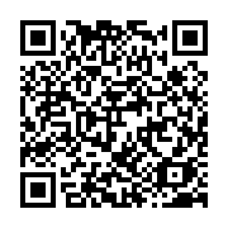 QR code for H9113H