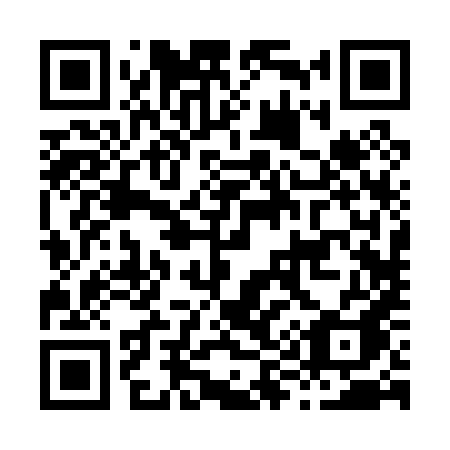 QR code for H9208A