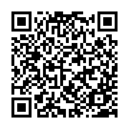 QR code for plate H93-34T