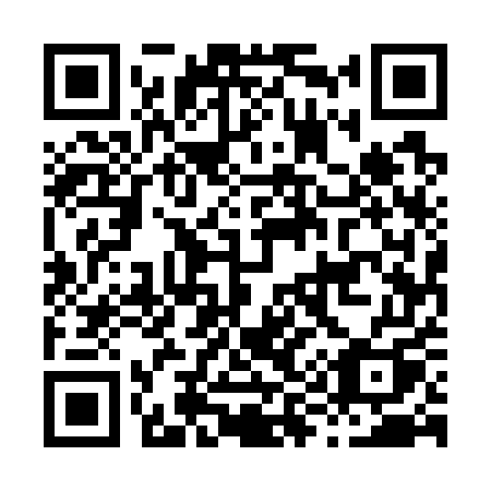 QR code for H9575Q