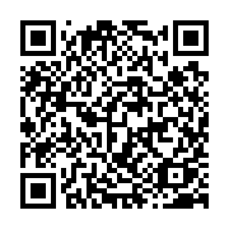 QR code for H99-79Q