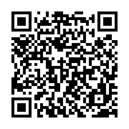 QR code for plate HEN-596