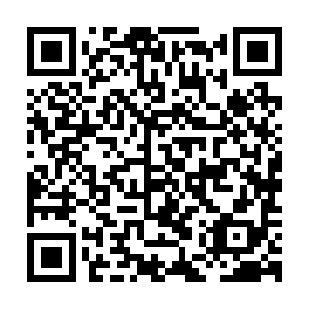 QR code for HEX-298