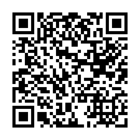 QR code for plate HHZ-368