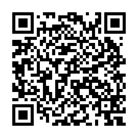 QR code for HIS-299
