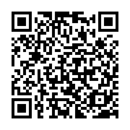 QR code for HIS971