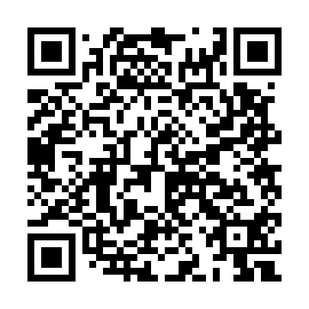 QR code for plate HJR-510