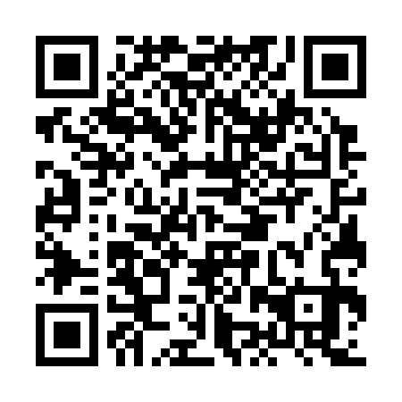 QR code for HJW-333