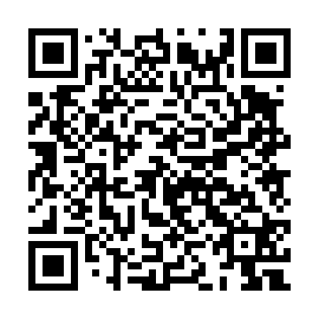 QR code for plate HKP-420