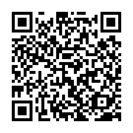 QR code for plate HKS-729