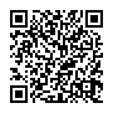 QR code for plate HND-868